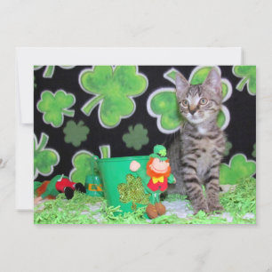 Patton's St. Patrick's Day  Cat/ Kitten -Flat Card