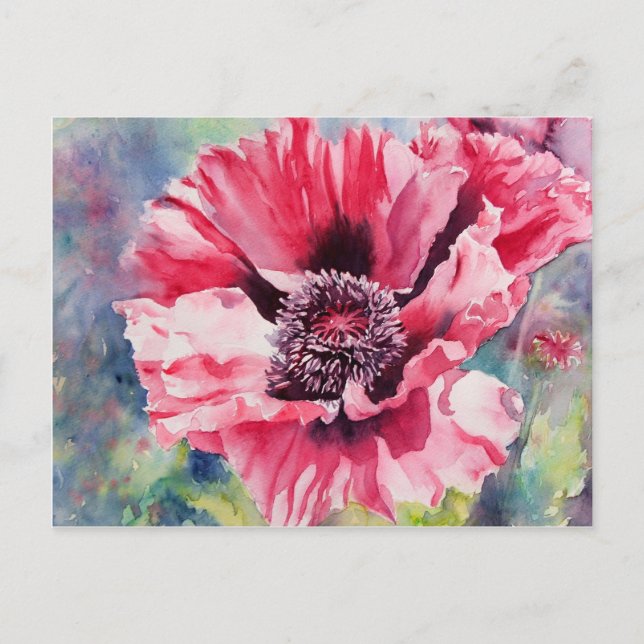 Pattys Plum Postcard (Front)