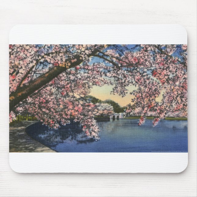 PAU43 Tidal Basin.tif Mouse Mat (Front)