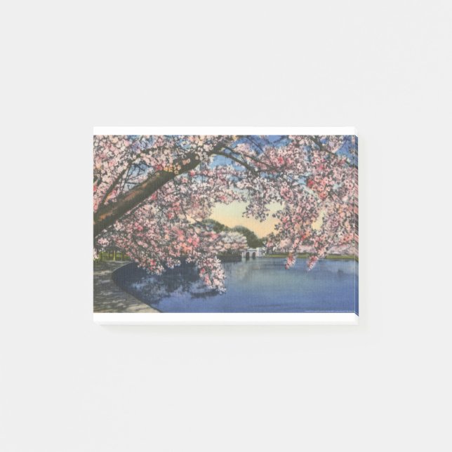 PAU43 Tidal Basin.tif Post-it Notes (Front)