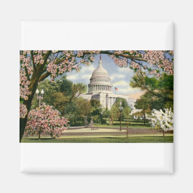 PAU46 US Capitol.tif Magnet (Front)