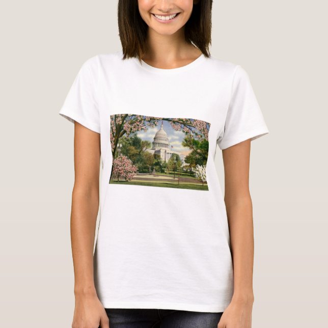 PAU46 US Capitol.tif T-Shirt (Front)