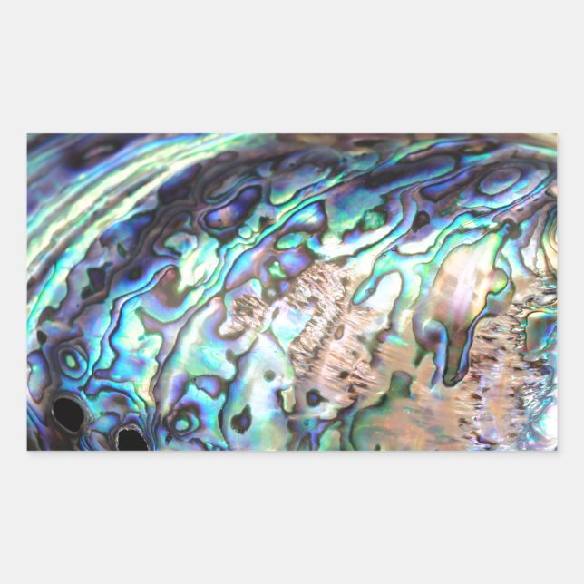 Paua abalone blue and green shellfish detail rectangular sticker (Front)