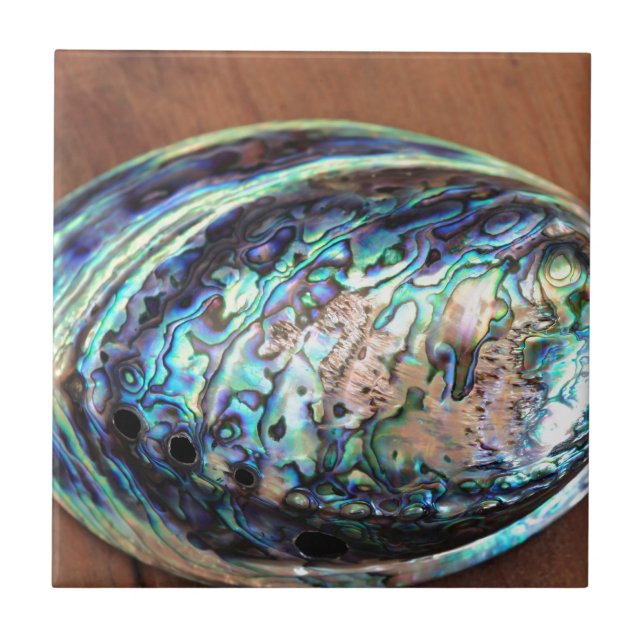 Paua abalone blue and green shellfish detail tile (Front)