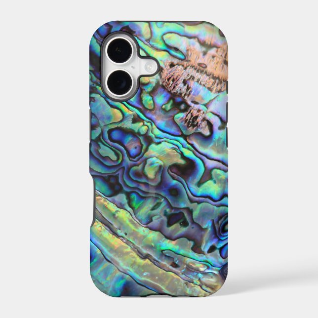 Paua abalone shell detail (Back)