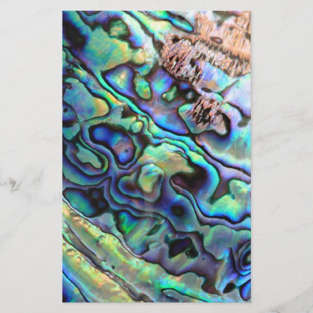 Paua abalone shell detail (Front)