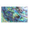 Paua abalone shell detail