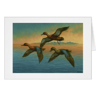 Paul McGehee "Cinnamon Teal" Card