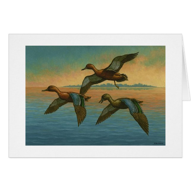 Paul McGehee "Cinnamon Teal" Card (Front Horizontal)