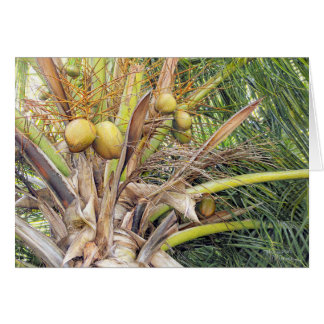 Paul McGehee "Coconuts" Card