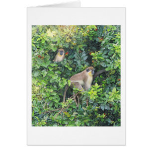 Paul McGehee "Monkeying Around" Card