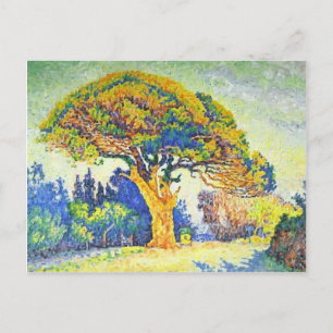Paul Signac- The Pine Tree at St. Tropez Postcard