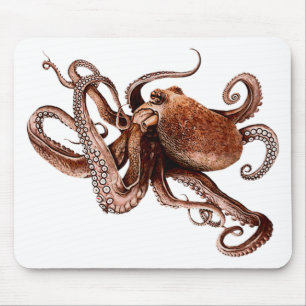 Paul The Octopus Mouse Mat