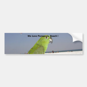paulie beach, We Love Pensacola Beach ! Bumper Sticker