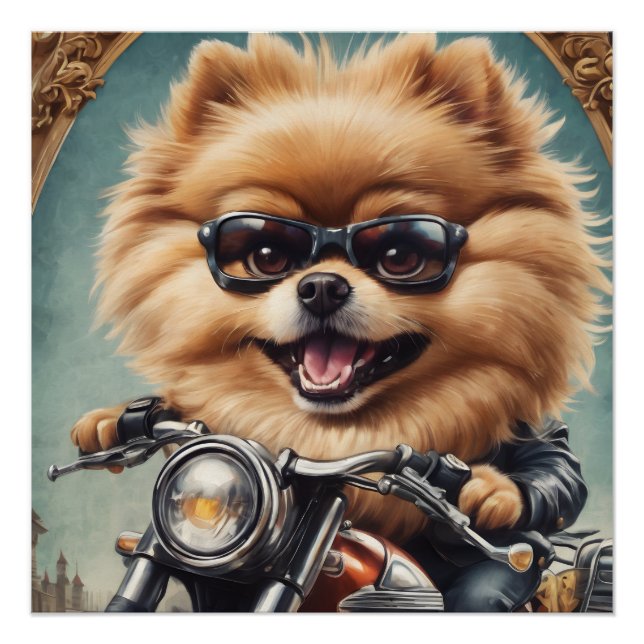 Paulie the Pomeranian Poster (Front)