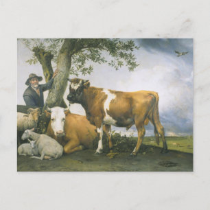 Paulus Potter Postcard