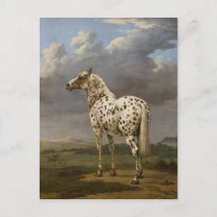 Paulus Potter - The "Piebald" Horse. Vintage Image Postcard