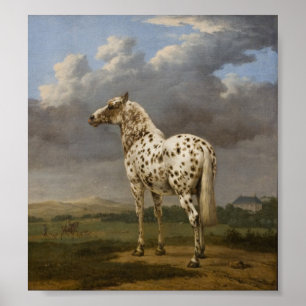 Paulus Potter - The "Piebald" Horse. Vintage Image Poster