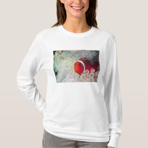 Paupau New Guinea, Great Barrier Reef, T-Shirt