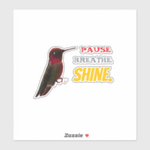 PAUSE. BREATHE. SHINE. Hummingbird