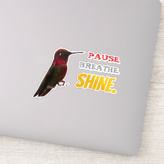 PAUSE. BREATHE. SHINE. Hummingbird