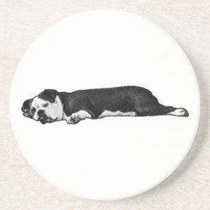 Pause With Bulldog Coaster
