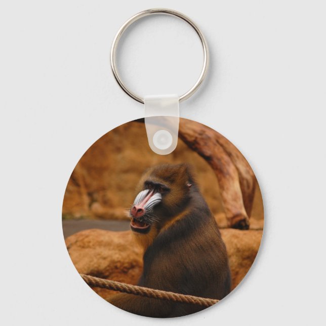 Pavian/Baboon Key Ring (Front)