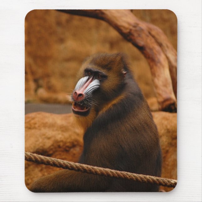 Pavian/Baboon Mouse Mat (Front)