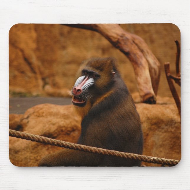 Pavian/Baboon Mouse Mat (Front)