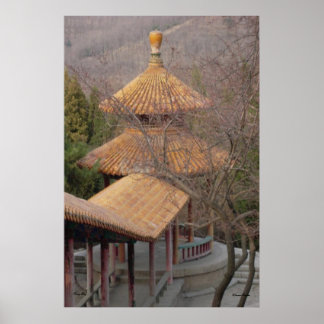 Pavilion Poster