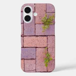 Paving Stones and Weeds In The Walkway Photograph iPhone 16 Case