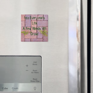 Paving Stones Weeds In Walkway Photo Personalized Magnet