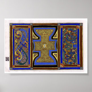 Pavo Floris Poster