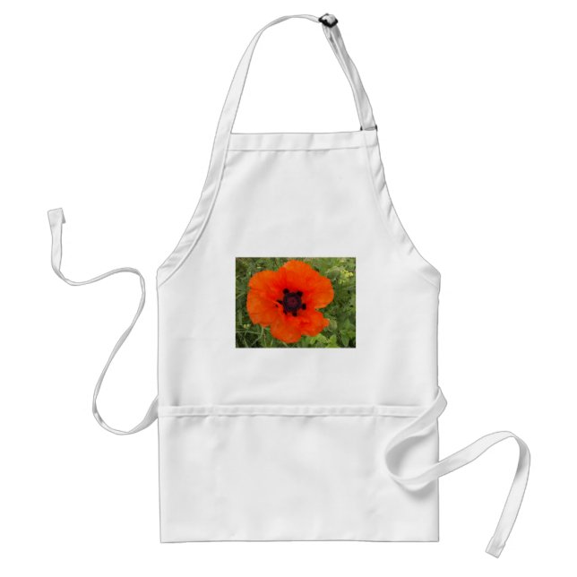 pavot standard apron (Front)