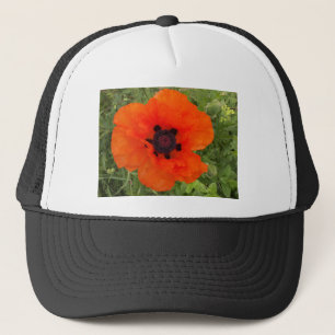 pavot trucker hat