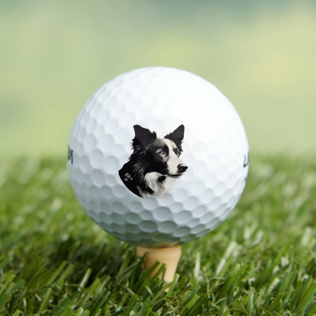 Paw-fect Golf Balls (Insitu Tee)
