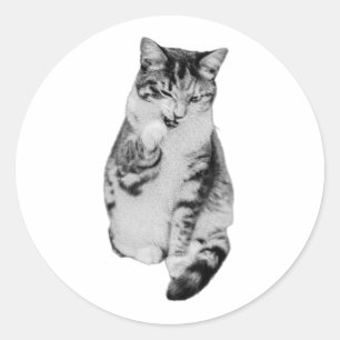 Paw Pause Classic Round Sticker