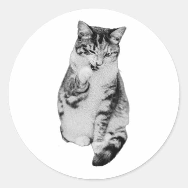 Paw Pause Classic Round Sticker (Front)