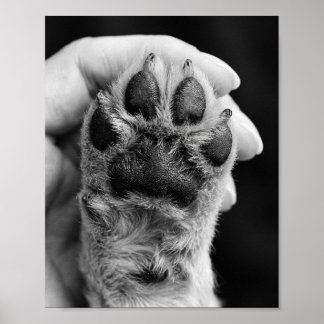 Paw Photo Custom 8 by 10 Pet Portrait Poster