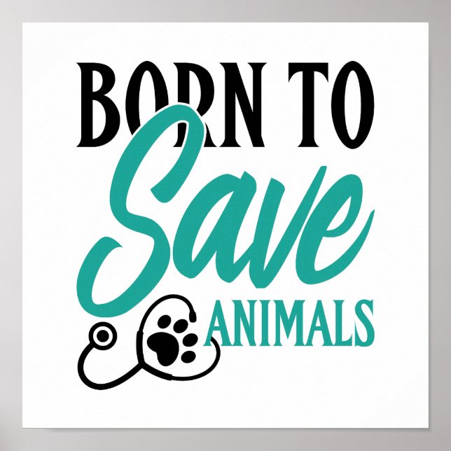 Paw Print and Stethoscope Heart Graphic (Front)