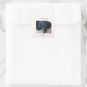 Paw Print Frame with Pet Name and Nickname Square Sticker