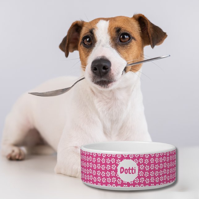 Paw Print Hot Pink Pet Bowl (Creator Uploaded)