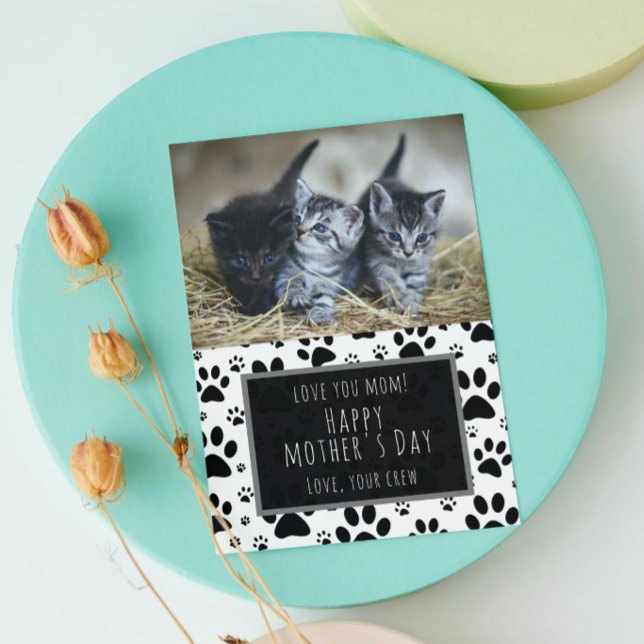 Paw Print Mother's Day photo Card from Pets  (Creator Uploaded)