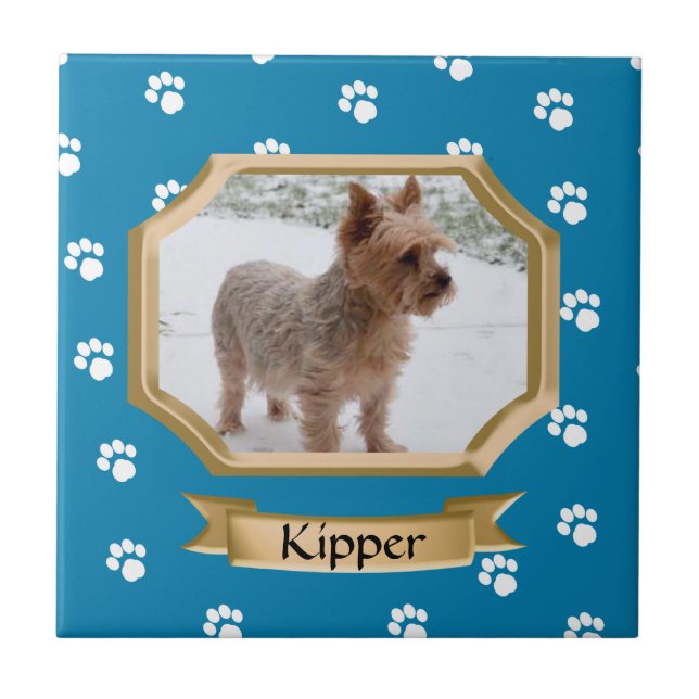 Paw Print Pet Photo Blue Tile (Front)