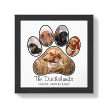 Paw Print Stylish Custom Photo Collage with Text