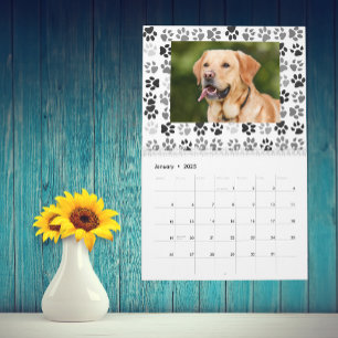 Paw Prints Background Pet Photo Dog Cat Calendar