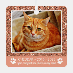 Paw Prints Cat Memorial Photo Metal Ornament