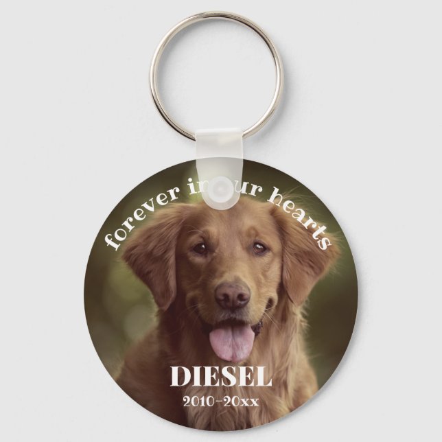 Paw Prints Forever In Our Hearts Pet Photo Key Ring (Front)