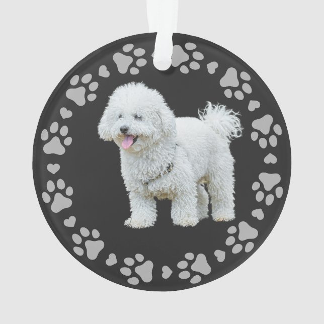 Paw Prints Frame Custom Pet Photo  Ornament (Back)