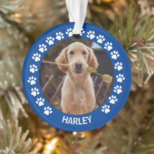 Paw Prints Frame Custom Pet Photo Ornament